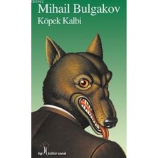 Binbir Göz Kitap Köpek Kalbi