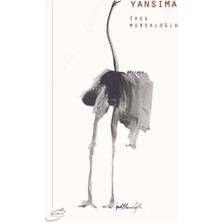 Şira Yayınları Yansıma