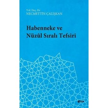 Binbir Göz Kitap Habenneke ve Nüzul Sıralı Tefsiri