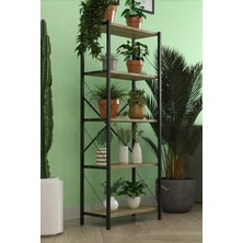 Empressco 150 cm Dekoratif Bahçe Dolabı 5 Raflı Atlantik Çam