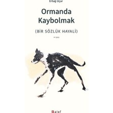 Alef Yayınevi Ormanda Kaybolmak