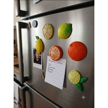 Feri Sanat Magnet