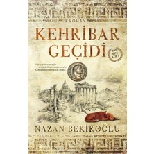 Timaş Yayınları Kehribar Geçidi