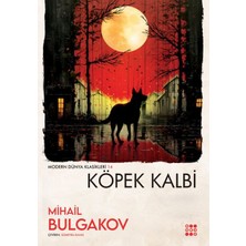 Dokuz Yayınları Köpek Kalbi