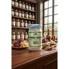 Nurbal Sea Moss Toz Ekstrak (Deniz Kadayıfı)- 50 gr