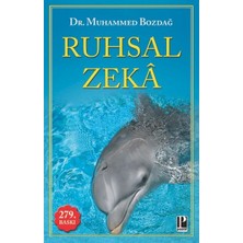 Pozitif Yayınları Ruhsal Zeka