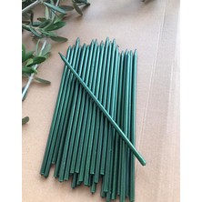 Ege Concept Life 20 cm Pasta Mumu Yeşil 10 ' lu paket