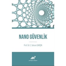 Paradigma Akademi Yayınları Nano Güvenlik