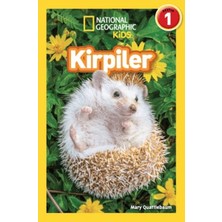Beta Kids National Geographic Kids Okuma Serisi Seviye 1 - Kirpiler