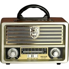 Empressco Mbteknolojim Meier M-113BT Açık Gold Renk Nostaljik Radyo Ahşap Görünümlü MBT12