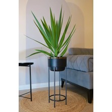Empressco Metal Saksı Ayaklı Çiçeklik Dekoratif Siyah Saksı Vazo Saksılık 62X26CM