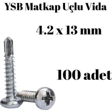 TUĞRA HIRDAVAT Yıldız Silindir Başlı 4.2X13 Ysb Matkap Uçlu Akıllı Vida 100 Adet