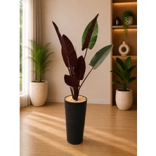 Yades Yapay Bordo Starliçe 160 cm | Dekoratif Saksılı Büyük Boy Salon Bitkisi