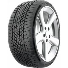 225/50R17 98V Roadfun Funtoma Kış