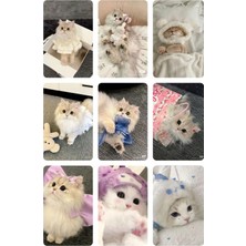 Kedi   Fotokart Pvc Kaplı 9*6 cm 7 Adet Alındığında 2 Adet Hediye Gönderimi Yapılacaktır