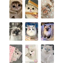 Kedi   Fotokart Pvc Kaplı 9*6 cm 7 Adet Alındığında 2 Adet Hediye Gönderimi Yapılacaktır