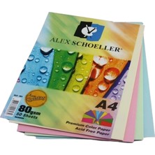 Alex Schoeller Alex 10 Renk Fotokopi Kağıdı A4 100'LÜ Karışık (ALEX-779)