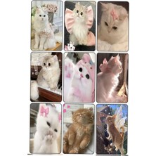 Kedi   Fotokart Pvc Kaplı 9*6 cm 7 Adet Alındığında 2 Adet Hediye Gönderimi Yapılacaktır