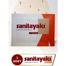 Sanita Yakı Mentollü