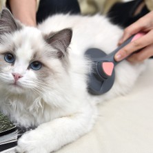 Kedicrax Otomatik Tuşlu Kendini Temizleyen Kedi Köpek Tarağı