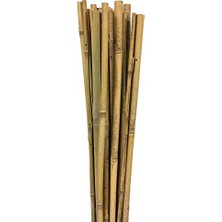 Esranın Dünyası 63717 Bambu Destek Çubuğu 10'lu - 12-14 mm x 150 cm