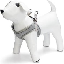 Esranın Dünyası Köpek Göğüs Tasması, Neopren, Yeşil, M, 41-46CM