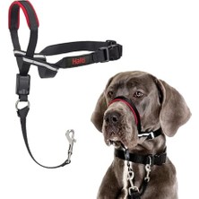 Esranın Dünyası Company Of Animals  Optifit Ağızlıklı Tasma, Büyük Boy Siyah