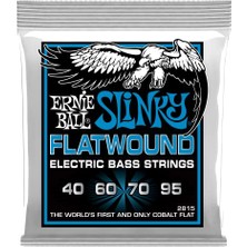 Esranın Dünyası Ernie Ball Extra Slinky Flatwound Elektrik Bas Telleri, Ölçü 40-95