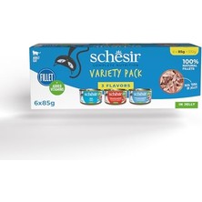 Esranın Dünyası Tam ve Dengeli Fillet Kedi Konservesi Yetişkin Kediler Için Yaş  6 Al 5 Öde