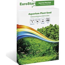 Esranın Dünyası Glossostigma Elatinoides Akvaryum Bitkisi Tohumu          [enerji Sınıfı A]
