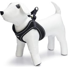 Esranın Dünyası Köpek Göğüs Tasması, Neopren, Siyah, S, 38-44CM