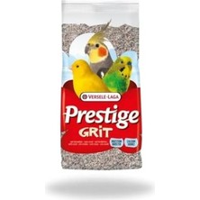 Esranın Dünyası Grıt Wıth Coral Kuş Kumu 2.5 kg