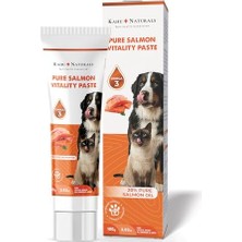 Esranın Dünyası Kahu Naturals Somon Yağlı Malt, Omega-3 (Epa & Dha) Içerikli, Kedi ve Köpek Için, 100 G