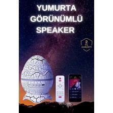 Feedback Yumurta Şeklinde Su Dalgalı Bluetooth Speaker Lamba Renkli Şarjlı