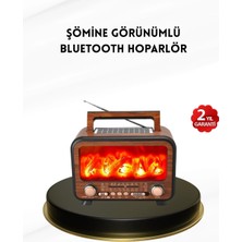 Feedback Alev Işığı Efektli Solar Bluetooth Hoparlör Radyo Destekli Taşınabilir Model