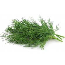 MarkEntegra Dereotu Kokulu (Çoklu Tohum) - 5 Gram