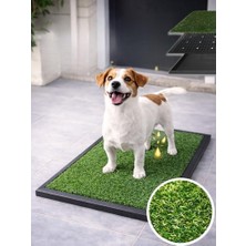 MarkEntegra Beylini Köpek Çim Tuvalet Matı Pet Kedi Plastik Havuzlu Drenajlı Kaka Çiş Ped Halısı Hijyenik Paspas Köpek Tuvalet Eğitim Parkı Tuvalet Çiş Eğitimi 50X75CM