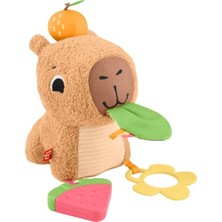 MarkEntegra Fisher-Price 3 Ay ve Üzeri Bebekler Için Yumuşacık Obur Kapi Duyusal Gelişim Oyuncağı, Yenidoğanlar Için Dişlik ve Çıngırak, HYR54
