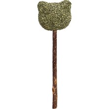 Hakay Kedi Için 9.5 cm Ayıcık Şekilli Catnip Oyuncak, Eğlenceli ve Sağlıklı