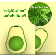 Hakay Yapışkanlı Catnip Topu ile Kedi Nanesi Oyuncağı - 1'li Set