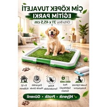 Hakay 31 x 45,5 cm Boyutunda Büyük Köpek Tuvalet Eğitim Parkı, Pratik Kullanım