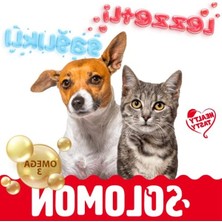 Hakay Omega 3 ve 6 Içeren Balık Yağı, Kedi ve Köpekler Için