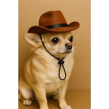 Hakay Keçe Malzeme Kedi ve Küçük Irk Köpek Kovboy Şapkası
