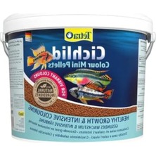 Hakay 10 Litre Cichlid Color Mini Yem ile Akvaryum Desteği