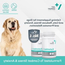 Hakay Kedi ve Köpek Için 500 ml Su Kabı, Mavi Renk
