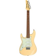 Hakay Profesyonel Elektro Gitar - Yüksek Ses Kalitesi