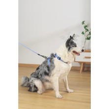 Hakay Gentle Dog Göğüs Tasması Blue (L)