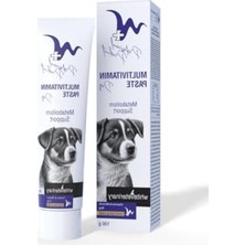 Hakay Köpekler Için 100 gr Multivitamin Macun, Besin Takviyesi