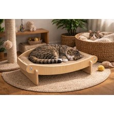 Hakay Çift Fonksiyonlu Ahşap Kedi Yatağı ve Tırmalama Alanı Modern Tasarım