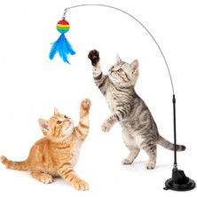 Hakay Renkli Toplu ve Esnek Yaylı Kedi Oltası, Interaktif Oyun ve Zihinsel Uyarım Için Idealdir.